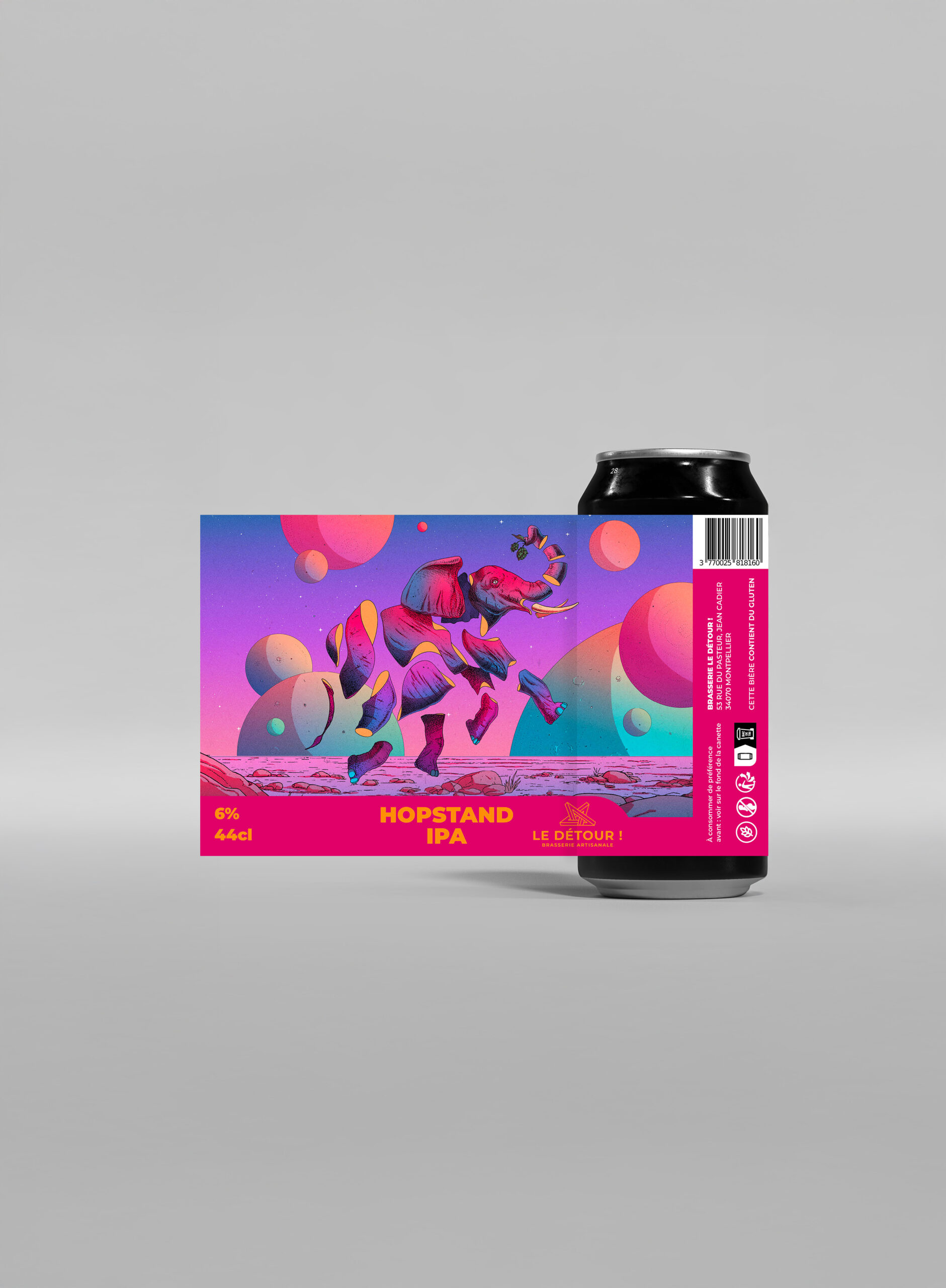 Bière Artisanale Montpellier Le Détour Hopstand IPA